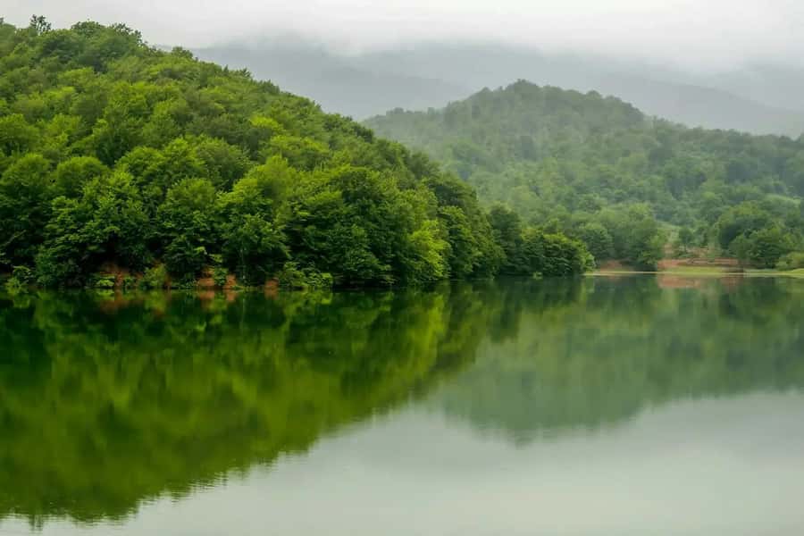 Baku: Guba, and Shahdag Adventure - A cool hour in Gachrash Forest