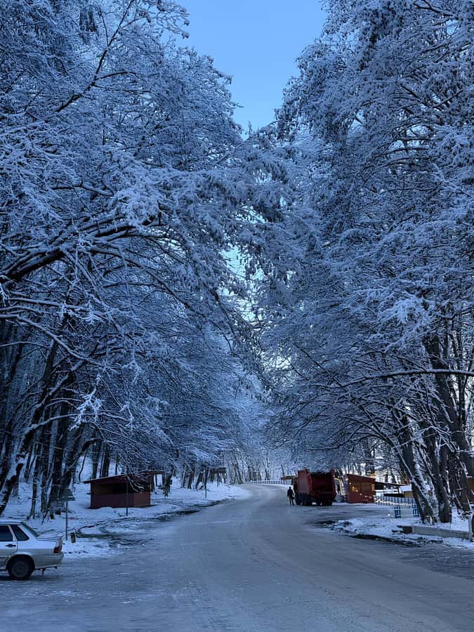 Baku: Guba, Candy Cane, and Shahdag Mountain Resort Trip - Candy Cane Mountains: a quick stop with unusual colors
