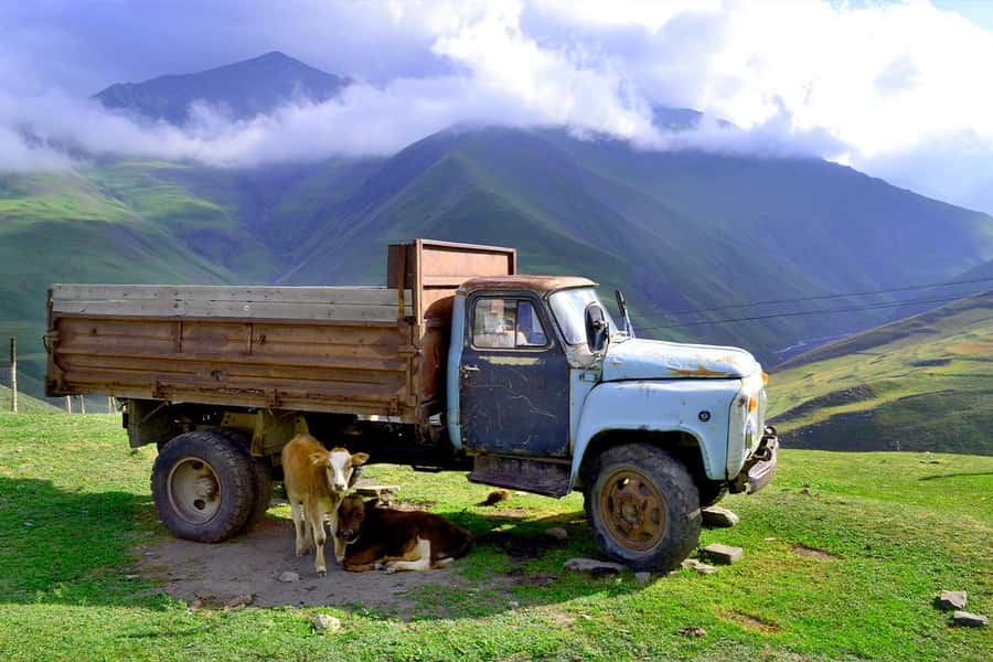 Baku: Guba Khinalig & Candy Cane Tour with Homemade Lunch - Gachrash Forest offers a quiet reset