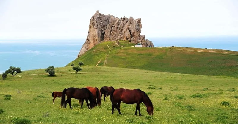 Baku:Guba,Shahdag and Candy Cane Mountain Lunch included - Why this northern Azerbaijan route is worth your day