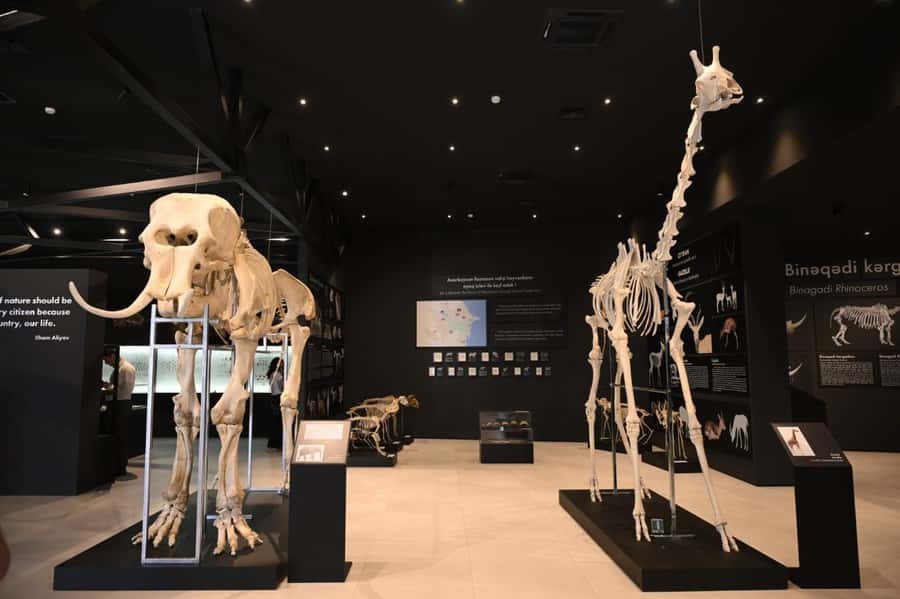 Baku Qobustan Absheron Full Day Guided Tour - Museums add useful detail, but ask how they fit