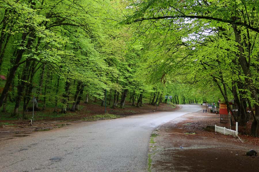 Baku: Quba Khinaliq Group Tour, Free Gobustan Absheron Tour - What the $65 price really includes
