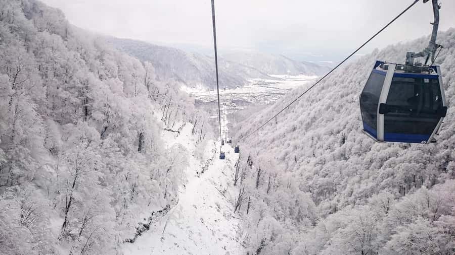 From Baku: Gabala and Shamakhi Nature Tour - Seven Beauties Waterfall and the winter limitation