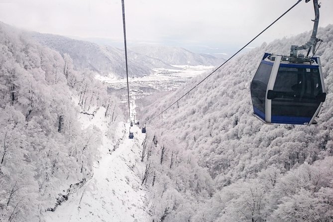 From Baku: Gabala Day Trip - Key points to know before leaving Baku