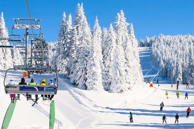 From Baku: Gabala Day Trip - Booking details worth checking before departure