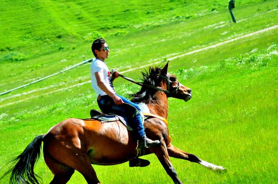 From Baku: Shahdag Mountain Resort Day Trip - Who will enjoy this day most