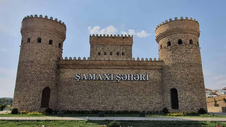 From Baku: Shamakhi City and Alpaca Farm Tour - Feeding and petting alpacas at Alpaca Azerbaijan