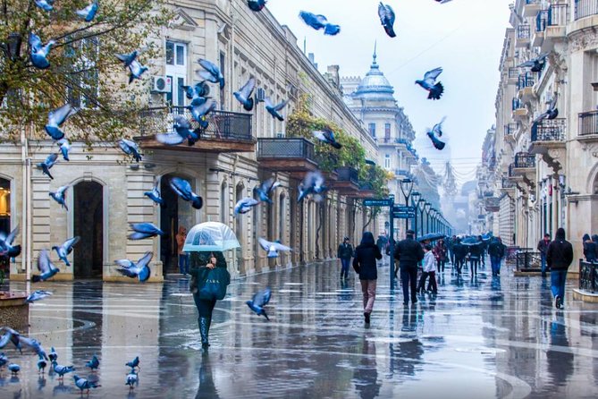 Full-day Private Baku City Tour - Highland Park for Baku Bay views