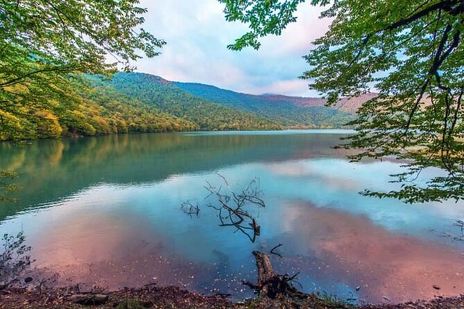 Gabala and Shamakhi Tour with Guide - Guides, vehicles, and the human side of the day
