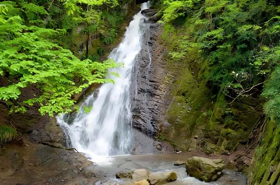 Gabala & Lavender Fields Group Guided tour - Who should book this Gabala tour