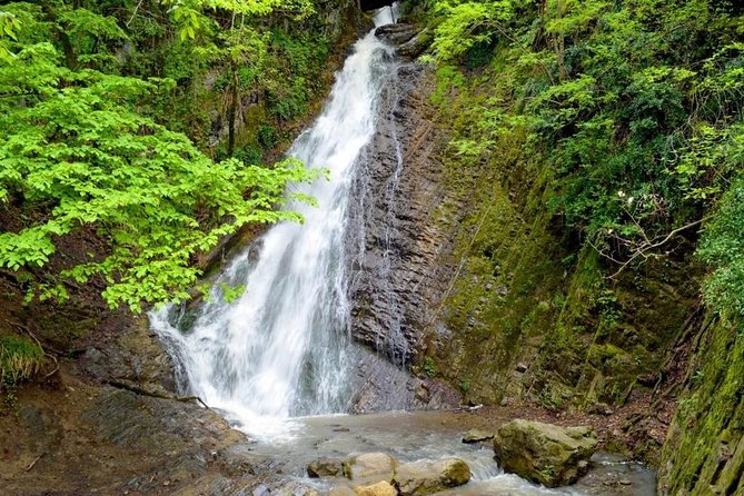 Gabala Private Tour - What the private vehicle changes