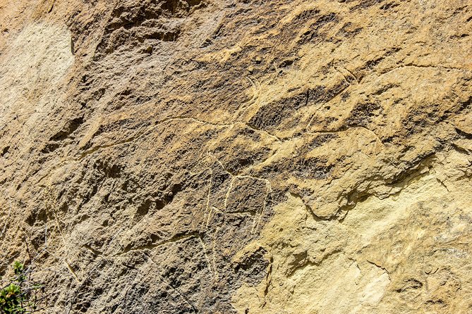 Gobustan and Mud volcanoe GROUP TOUR - The guide can shape the whole experience