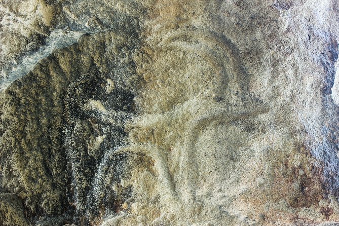 Gobustan and Mud volcanoes PRIVATE TOUR - Taking the back-country road to the volcanoes