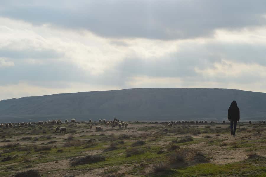 Gobustan, Mud Volcano, Burning Land and Fire Temple Tour - Mud volcanoes and a short taste of another world