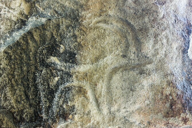 Gobustan, Mud volcanoes, Fire temple, Fire mountain PRIVATE TOUR - Is $89 per person good value?