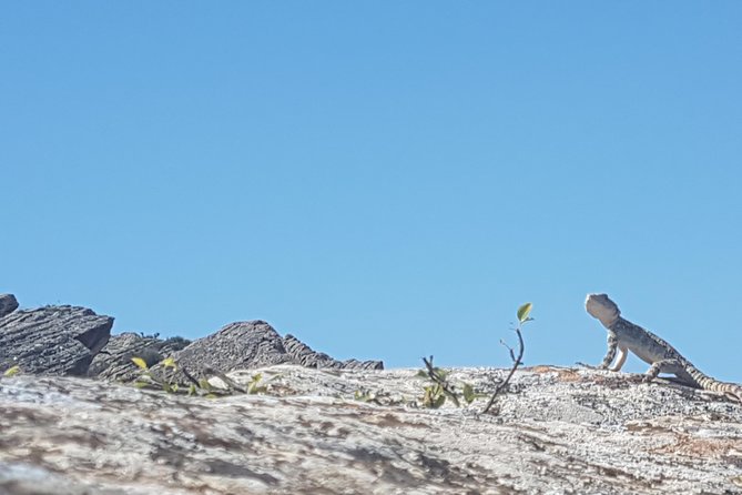 Gobustan Tour and Mad Volcanoes - tour to stone age - Why Gobustan feels like a trip back to the Stone Age