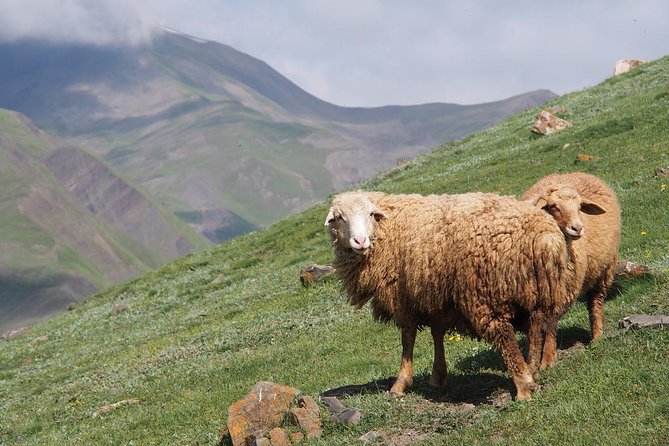Guba and Khinaligh Private Tour - Who should book this mountain excursion