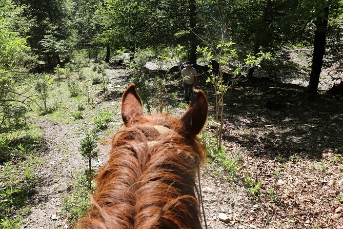 Horseback Riding in Azerbaijan - Practical Things to Know Before You Book