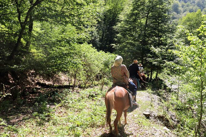 Horseback Riding in Azerbaijan - Who Will Enjoy This Ride Most