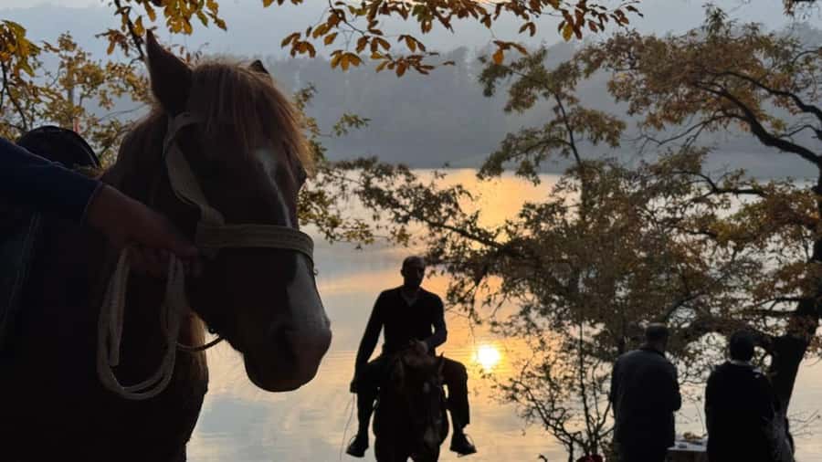 Longevity Secrets of Azerbaijan: Lankaran & Astara tour - Why Lankaran feels so different from Baku