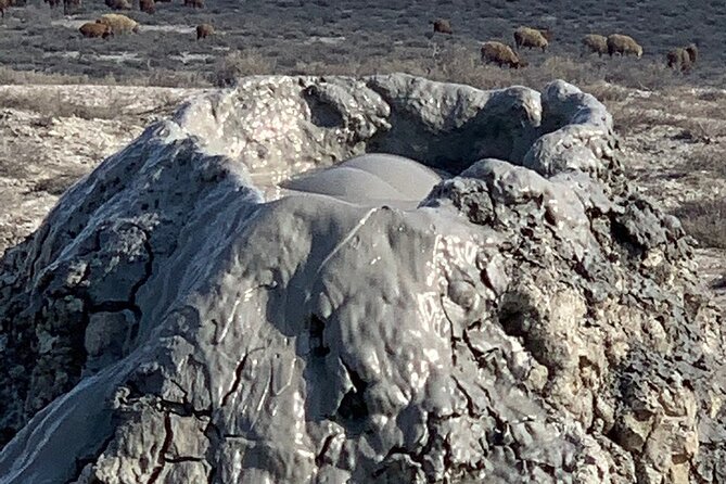 Mud Volcanoes & Gobustan Private Tour - What the private format adds