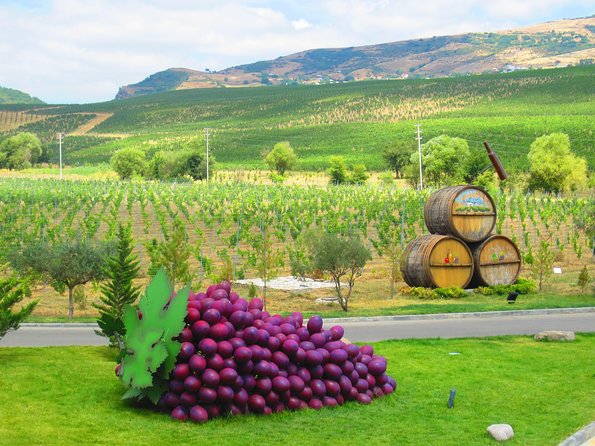 Organic Wine Tour Shamakhi with Local Lunch - Key points to know before you book