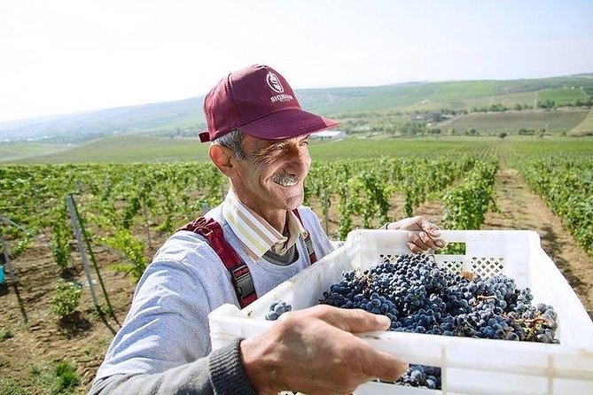 Organic Wine Tour Shamakhi with Local Lunch - Is $240 per person a fair price?