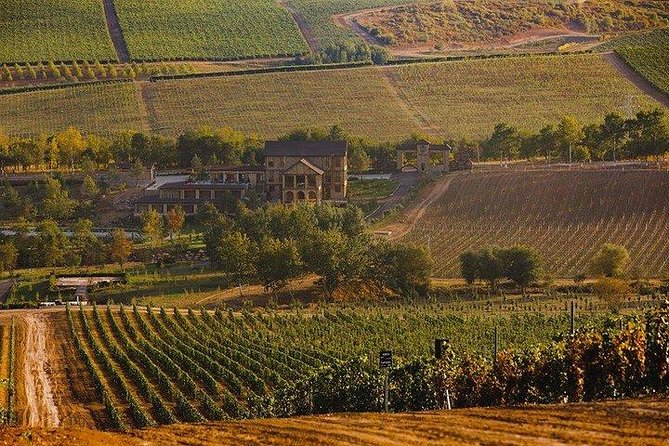Organic Wine Tour Shamakhi with Local Lunch - What to expect at the Shamakhi winery