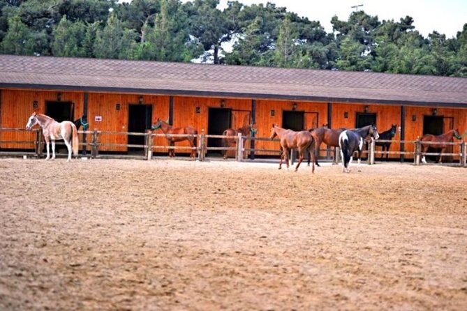 Private Full Day Baku Adventure Tour - Horse riding in Bina for a relaxed start
