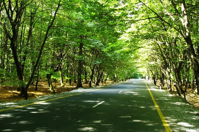 Private Gabala Tour - Tufandag Resort and the main choice of the day