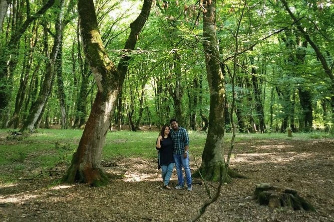 Private Gabala Tour (Full-Day Tour) - How the private format affects the day