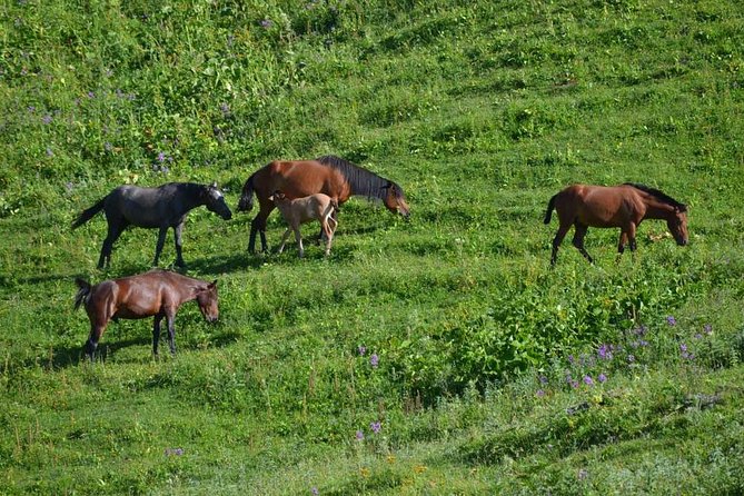 Relaxable and Knowledgeable 9 days Tour in Azerbaijan - Key details that shape the trip
