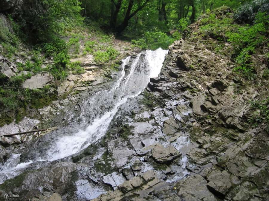 Shamakhi and Gabala Guided Day Tour - Why this northern route is worth a very long day