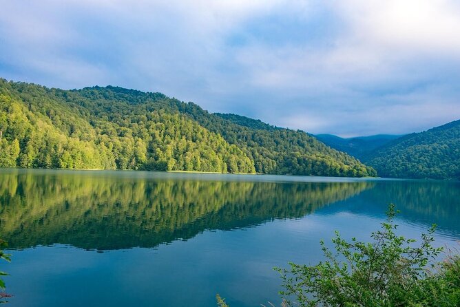 Shamakhi And Gabala Tour (All inclusive) - Lunch in the Goychay forest