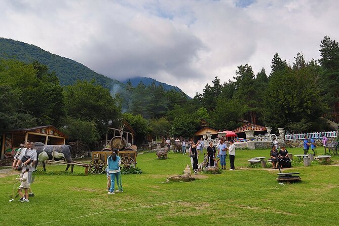 Sheki Cultural and Historical Shared Tour - Four hours for food, crafts, and Xanland