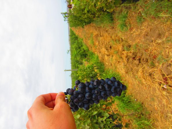 Wine Tour Baku - Leaving Baku for Novkhani
