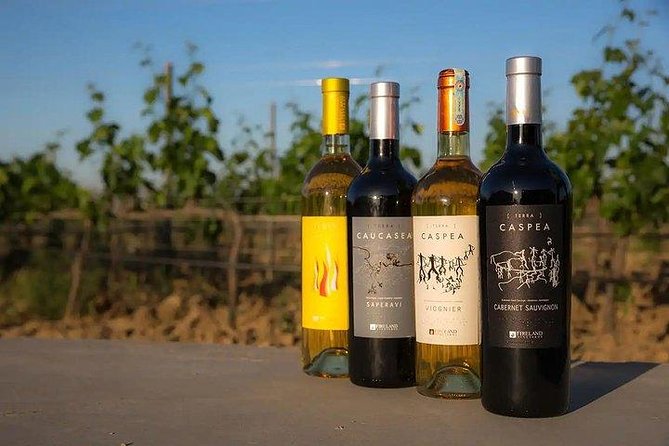 Wine Tour Baku - Why the private format matters