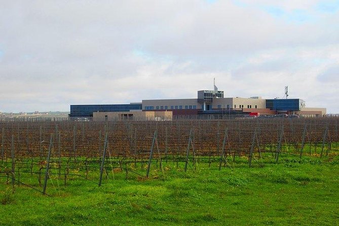 Wine Tour Baku - Is $100 per person fair?